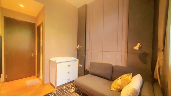 38 JERVOIS photo 5