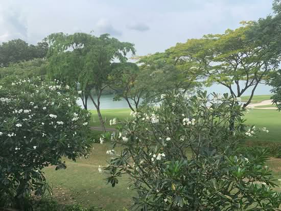Sentosa Cove photo 5