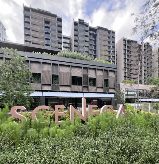 SCENECA RESIDENCE photo 6
