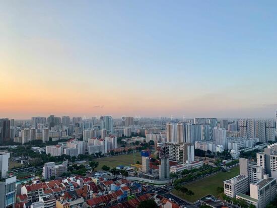 STURDEE RESIDENCES photo 2