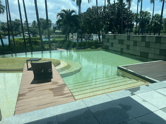 THE RESIDENCES AT W SINGAPORE SENTOSA COVE photo 3