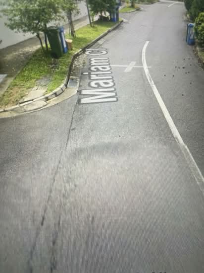 Changi Grove photo 3