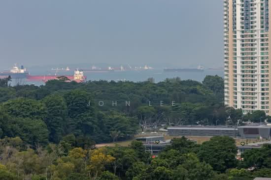 VELA BAY photo 5