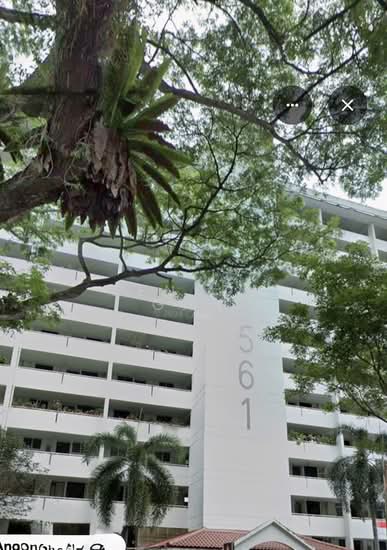 561 ANG MO KIO AVENUE 10 photo 3