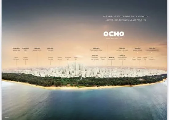 Ocho image 1 of 5