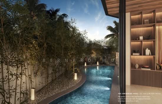 Novena / Dyson / Tan Sim Boh / Chancery Brand New Terraces Rarely Available photo 6