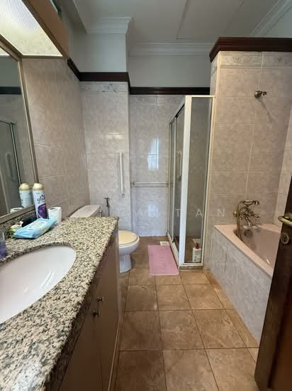 10A Mount Sinai lane photo 5