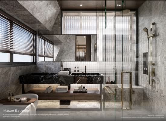 Brand New Freehold Detached in D11. 1KM To RGPS. 400m to Sixth Ave MRT photo 4