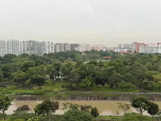 THE RIVERVALE photo 2