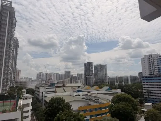 43 Bendemeer Road image 1 of 7