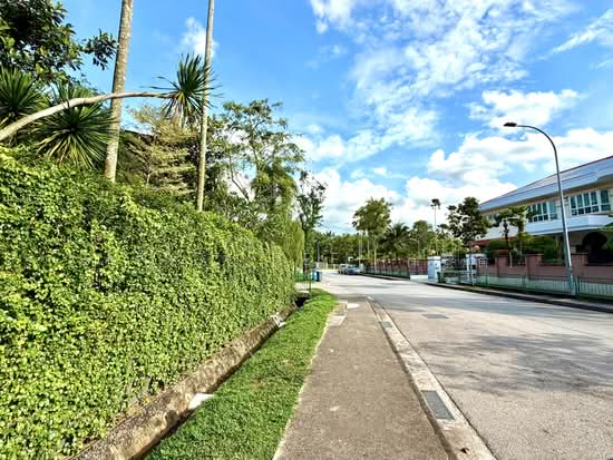 Brand New Semi-Detached ✧ Bukit Timah Vicinity ✧ Near MRT & Schools image 1 of 6