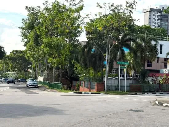Newly Built Detached Gallop Park / Farrer Road enclave Near MRT & Schools image 1 of 6