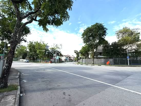 Newly Built Detached ✧ Gallop Park / Farrer Road enclave ✧ Near MRT & Schools photo 4