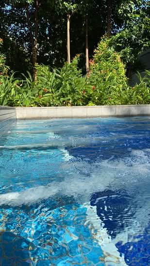 LEEDON GREEN image 1 of 5