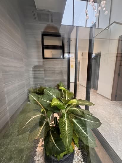 Brand New Freehold TerraceD House near Sembawang Park photo 4