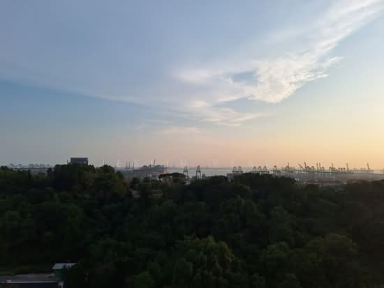 NORMANTON PARK photo 3