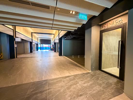 SCENECA RESIDENCE photo 2
