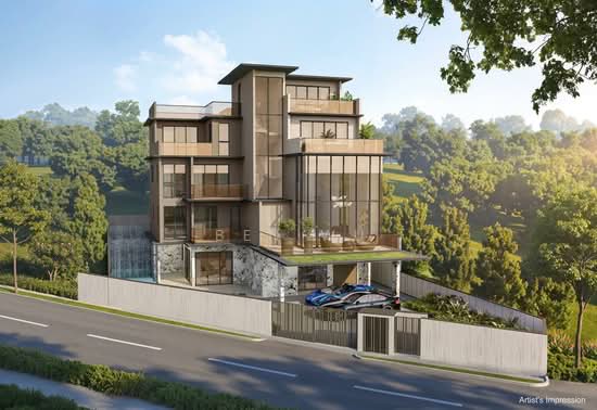 Modern Brand New 8 units Houses For Sales - Novena / Chancery / Dyson Chancery Hill Road / Dyson Roa image 1 of 6