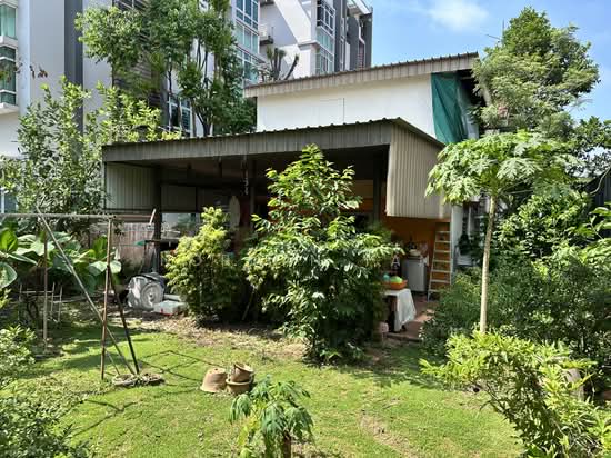 Lorong L Telok Kurau photo 6