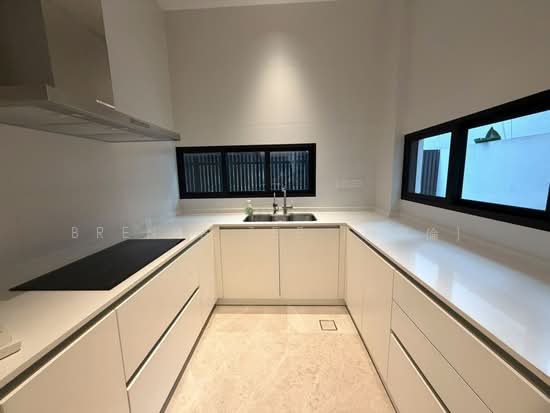 Bukit Timah Enclave ✧ Corner Terrace with Lift ✧ Near MRT & Schools photo 3