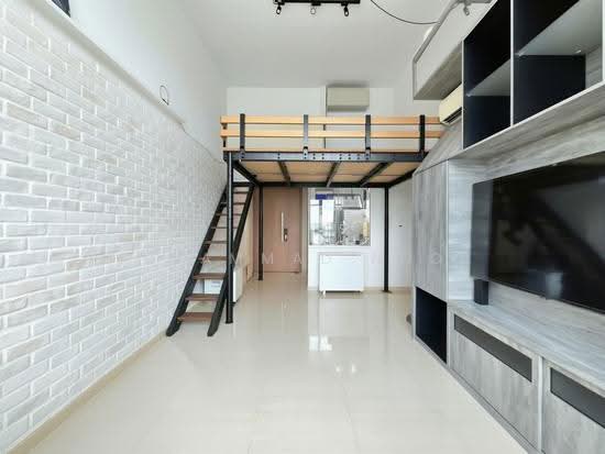 BELYSA photo 3