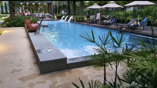 COCO PALMS photo 3