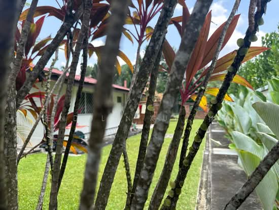Binjai Park photo 4