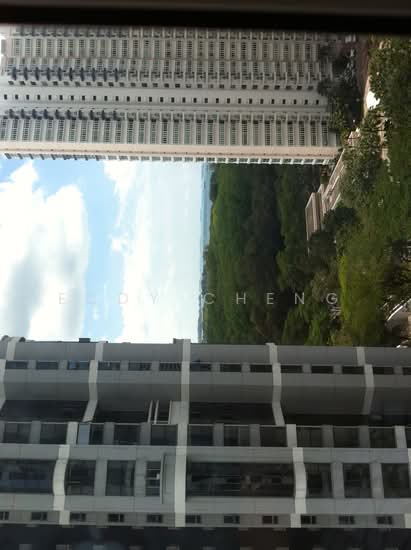 THE BAYSHORE photo 3