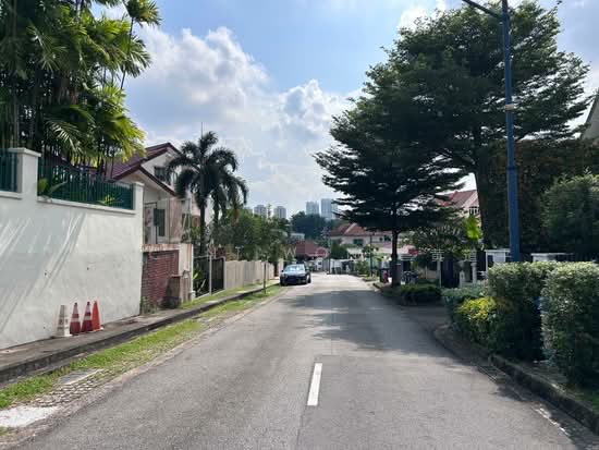 Landed house with regular plot in Serangoon Garden photo 4