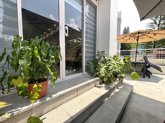 LE HILL CONDOMINIUM photo 4