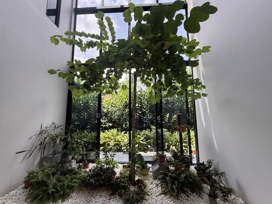 Almost Brand New Bungalow Kingsmead Road 1km Nanyang Pri Sch photo 4