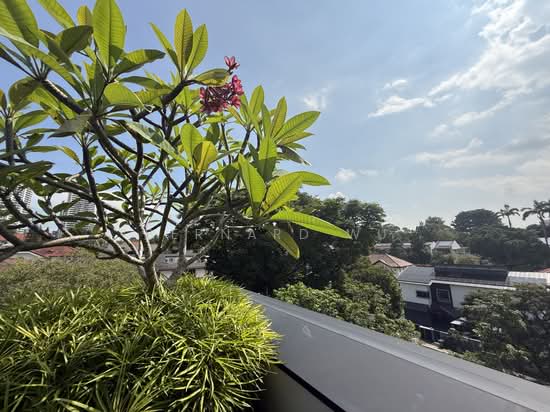 Almost Brand New Bungalow Kingsmead Road 1km Nanyang Pri Sch photo 6
