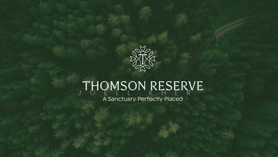 THOMSON VIEW CONDOMINIUM photo 2