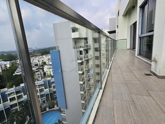 Skies Miltonia photo 2