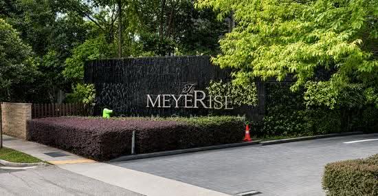 THE MEYERISE photo 2