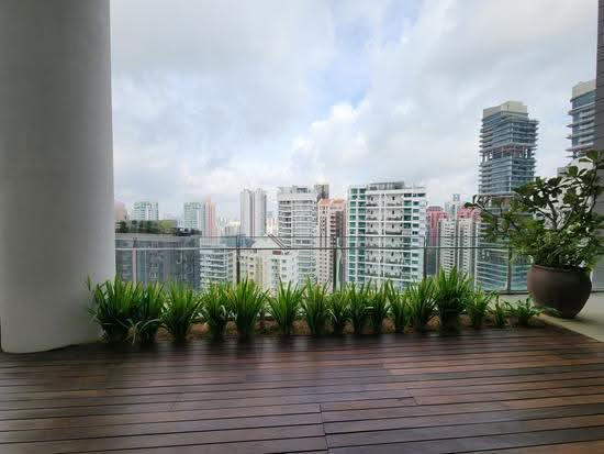 SKYPARK photo 3