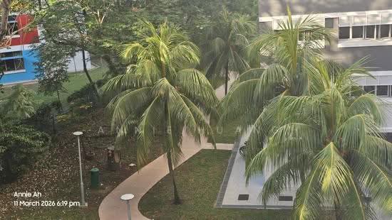 768 PASIR RIS STREET 71 photo 6