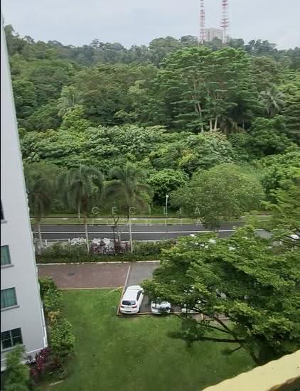 SPRINGDALE CONDOMINIUM photo 4
