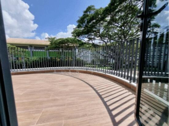 Cashew Green photo 6