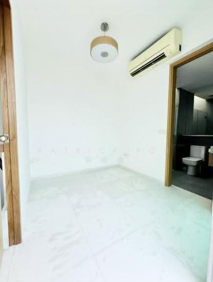 Coralis photo 2