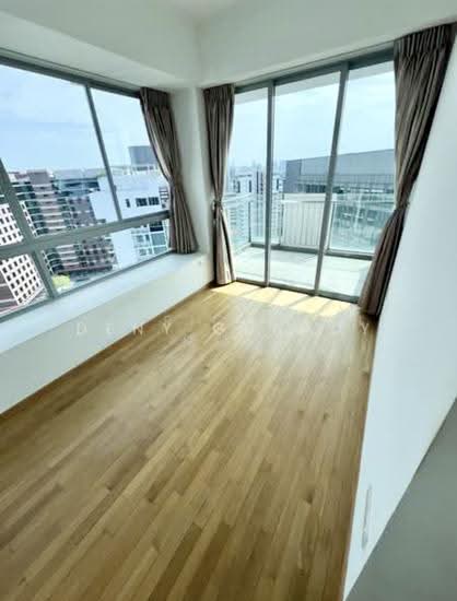 Coralis photo 4