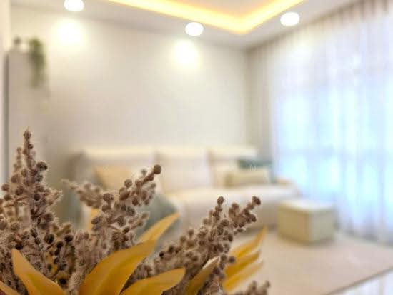 109B BIDADARI PARK DRIVE image 1 of 10