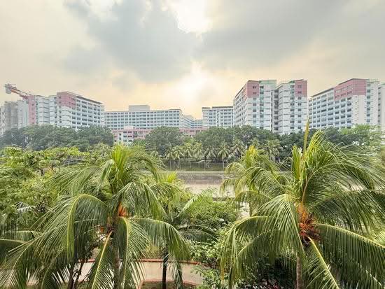 116 Pasir Ris Street 11 photo 2