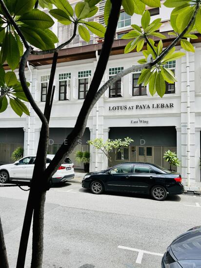 Lotus at Paya Lebar photo 3