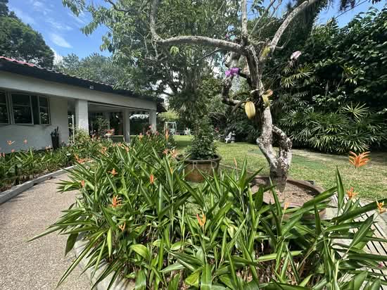 Good class Bungalow Bin Tong Park photo 2
