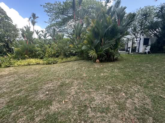 Bukit Timah GCB Prime location photo 4