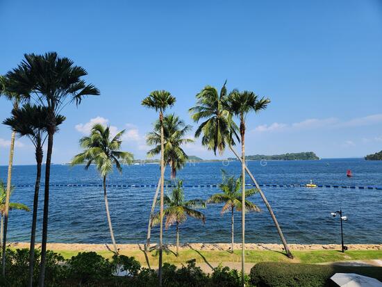 SEASCAPE image 1 of 7