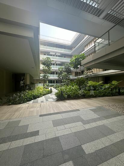 THE REEF AT KING'S DOCK photo 2
