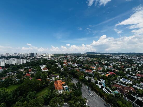 ONE HOLLAND VILLAGE RESIDENCES photo 2