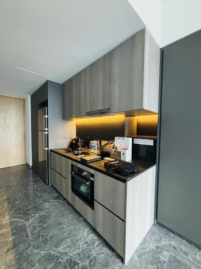 ONE HOLLAND VILLAGE RESIDENCES photo 3